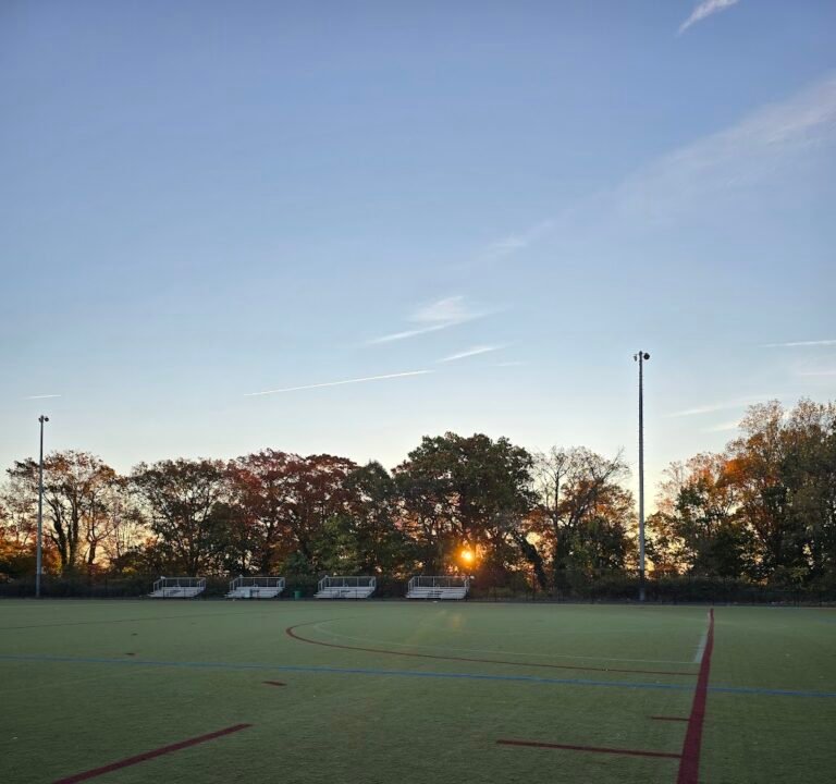 Soccer Field image 2