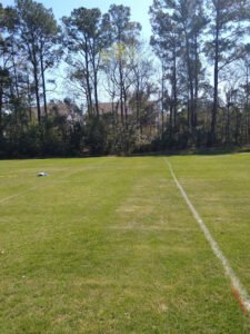 Soccer Field image 1