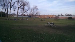 Soccer Field image 1
