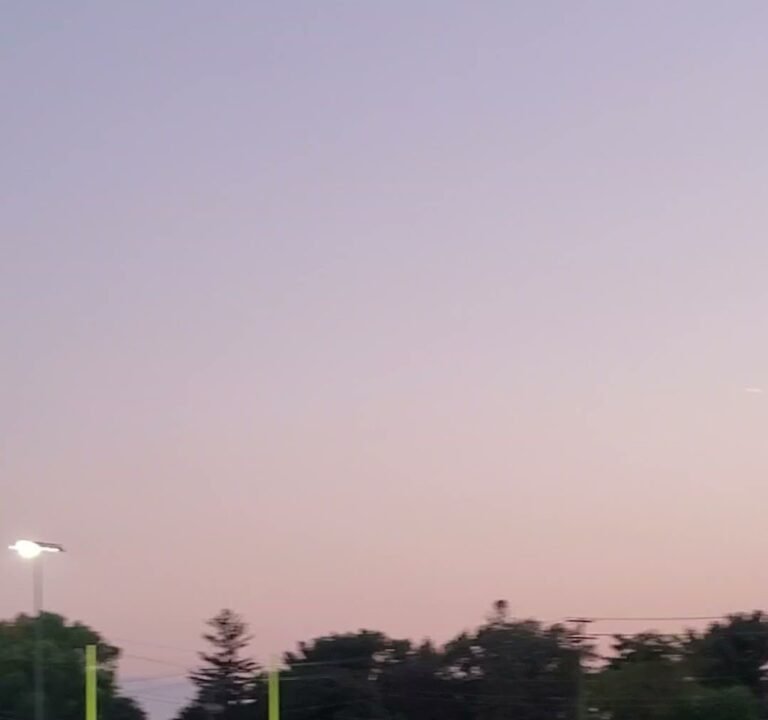 Soccer Field image 4