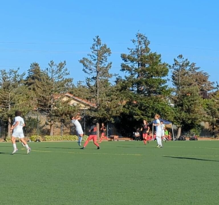 Soccer Field image 4