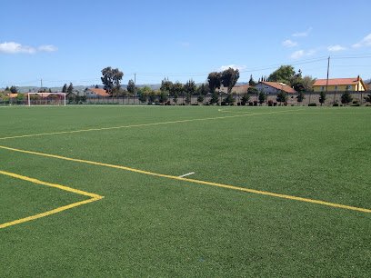 Soccer Field image 1