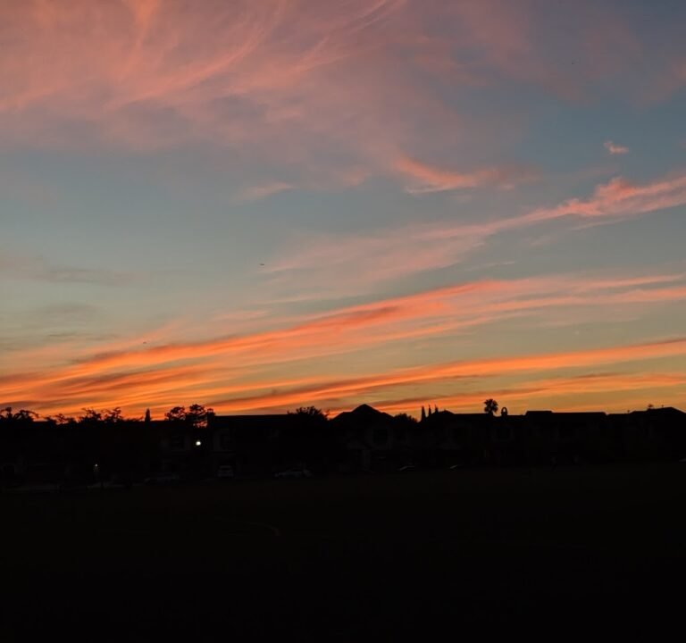 Soccer Field image 3