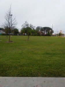 Soccer Field image 1