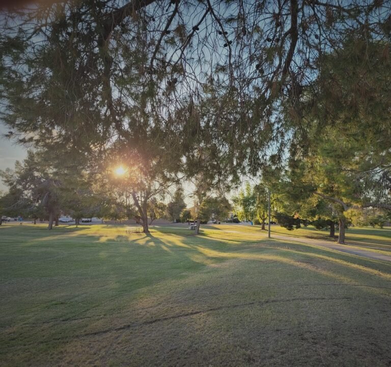 Soccer Field image 3