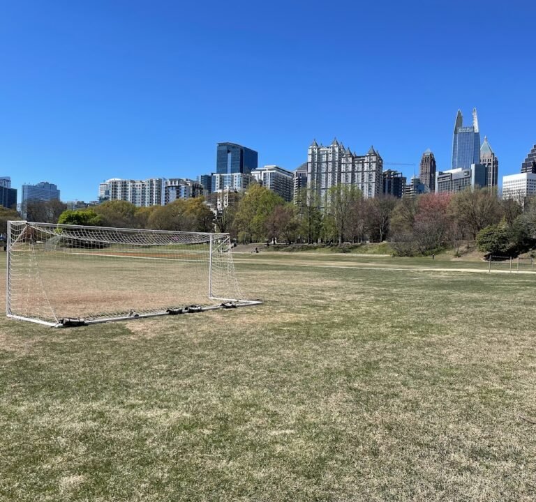 Soccer Field image 2