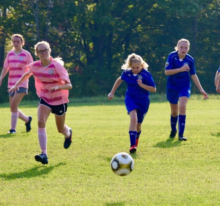 Soccer Field image 3