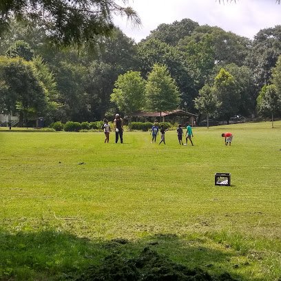 Soccer Field image 1