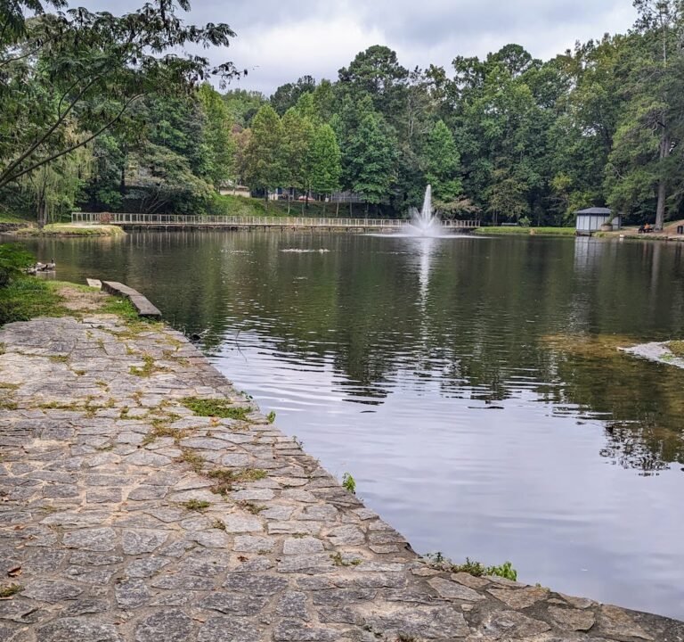 Soccer Field image 2