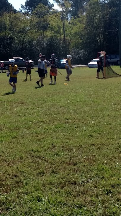 Soccer Field image 1