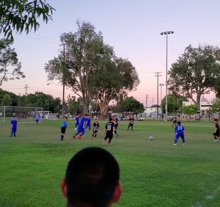 Soccer Field image 4