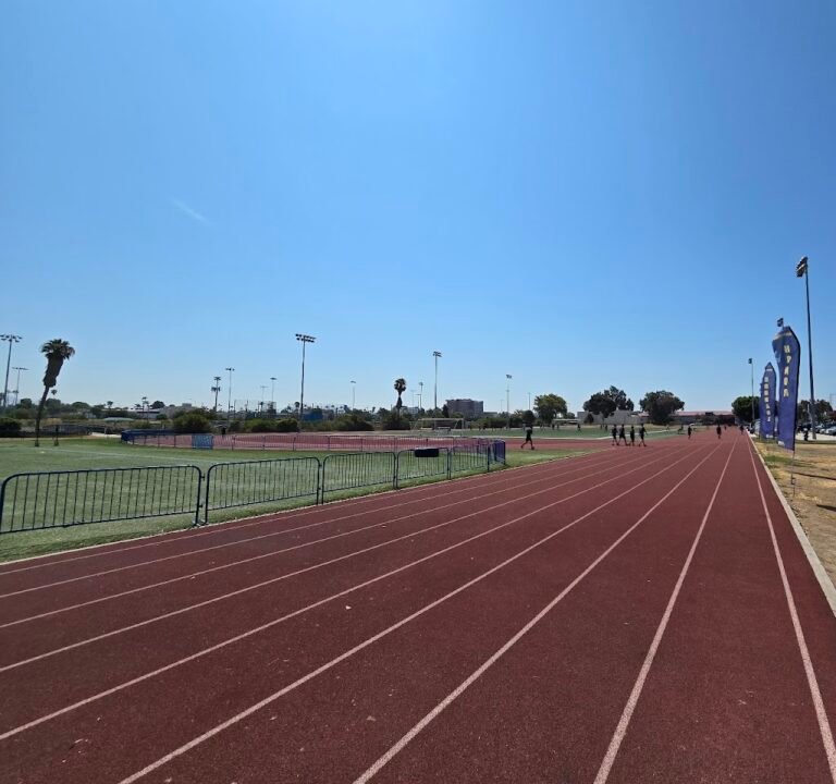 Soccer Field image 2