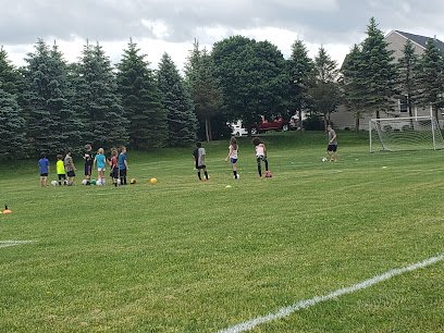 Soccer Field image 1