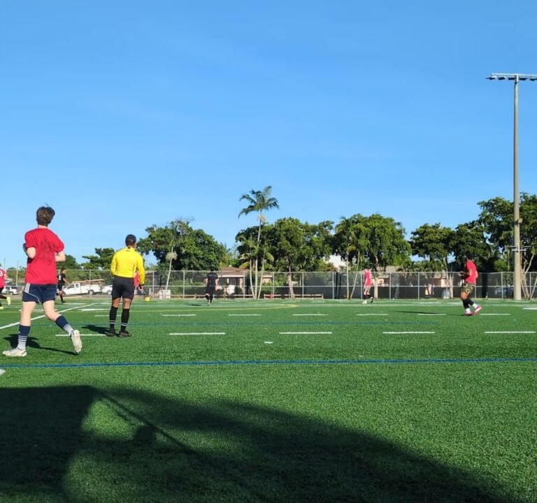 Soccer Field image 4