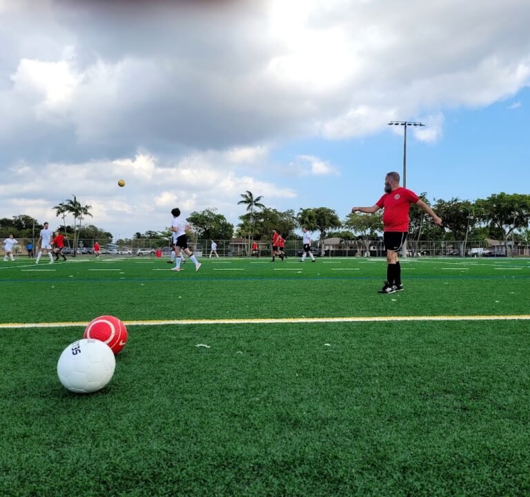 Soccer Field image 2