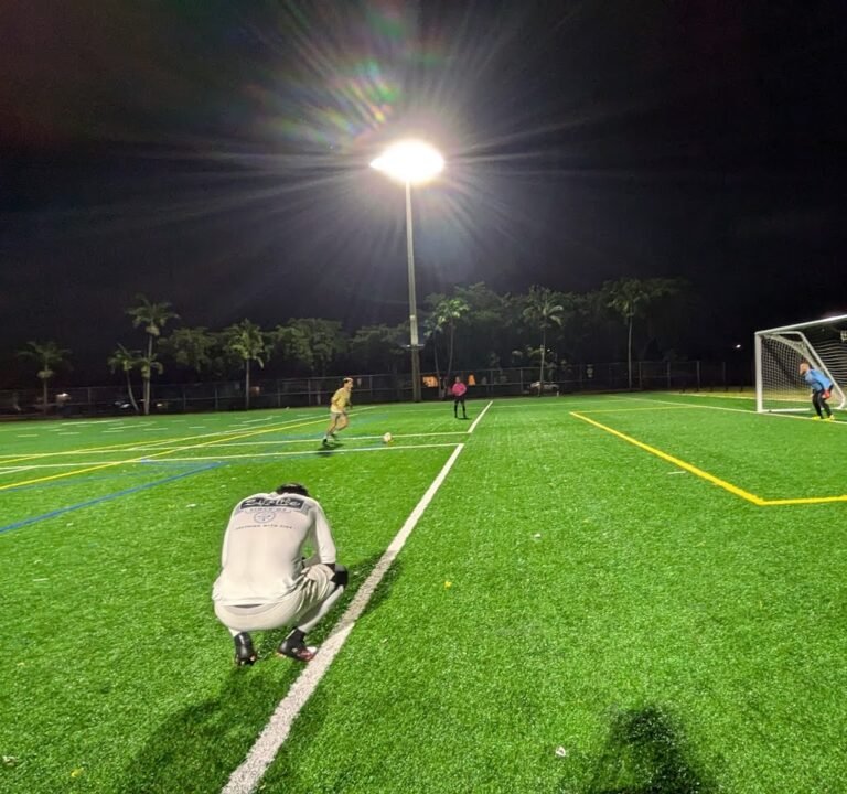 Soccer Field image 3