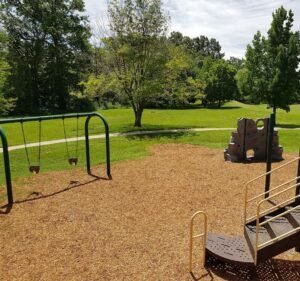 Soccer Field image 2