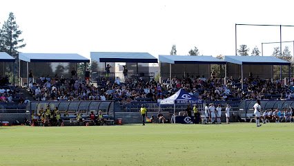 Soccer Field image 1