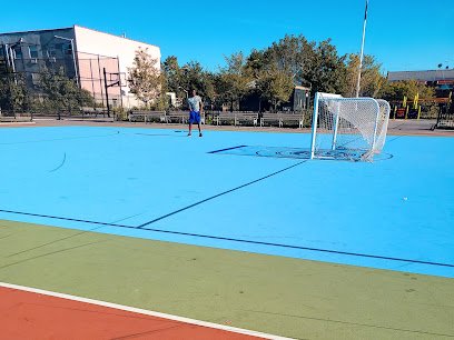 Soccer Field image 1