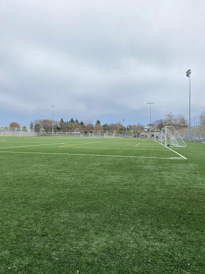 Soccer Field image 1