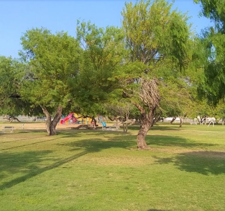 Soccer Field image 2