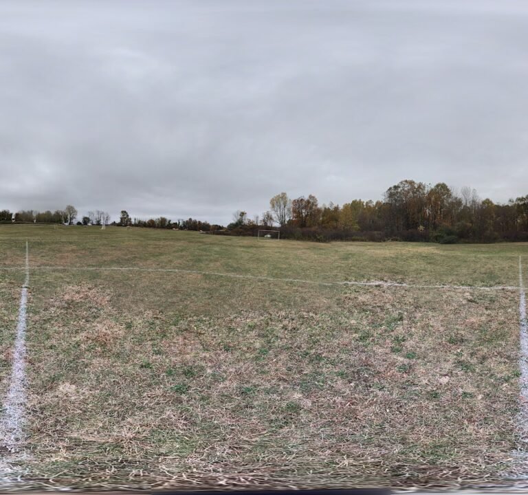 Soccer Field image 3