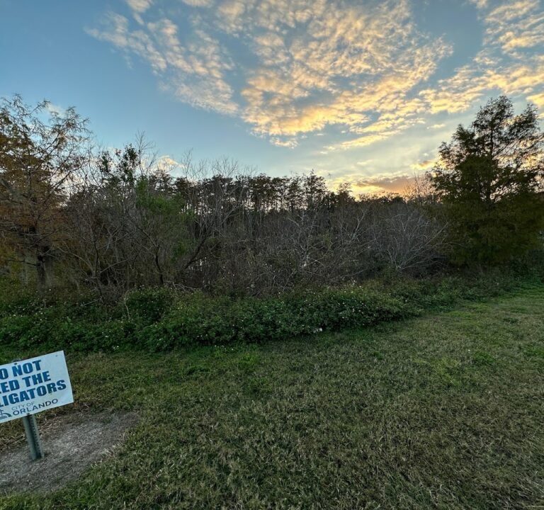 Soccer Field image 3