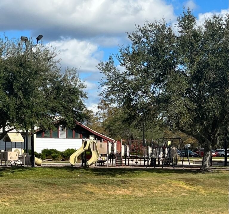 Soccer Field image 2