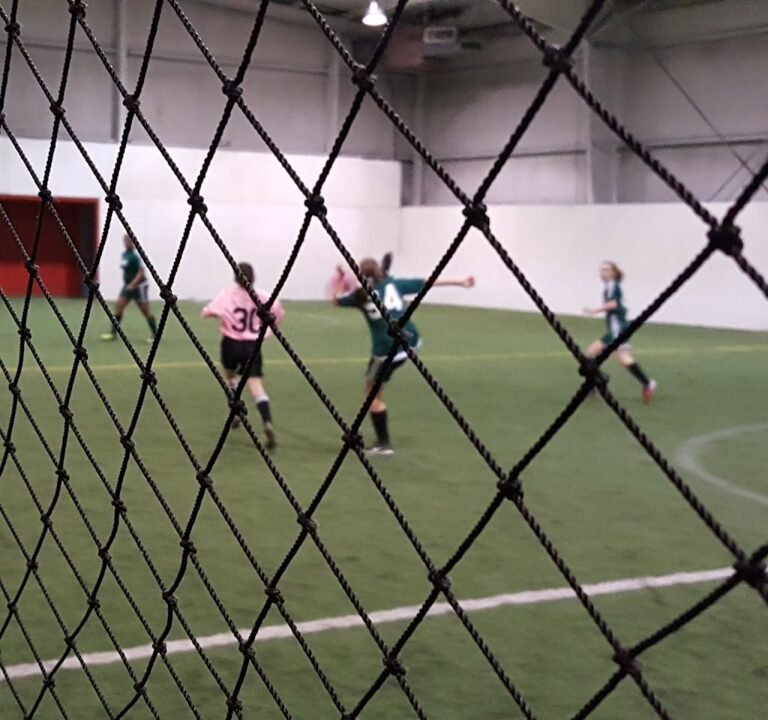 Soccer Field image 2