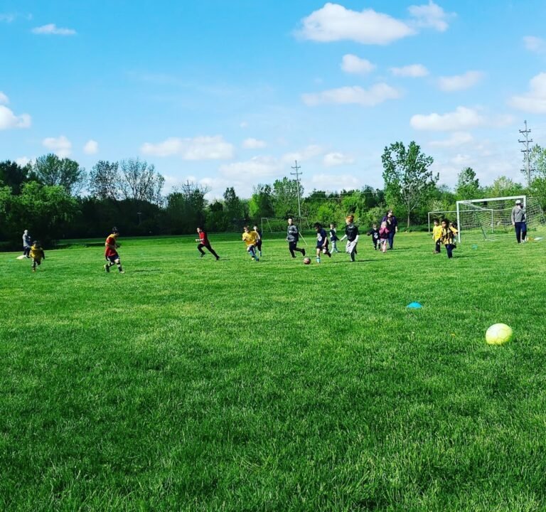 Soccer Field image 3