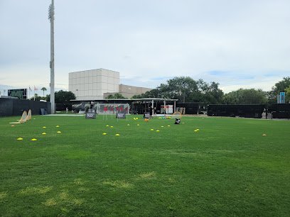 Soccer Field image 1