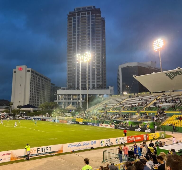 Soccer Field image 2