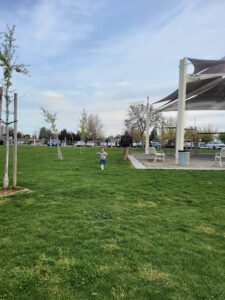 Soccer Field image 1