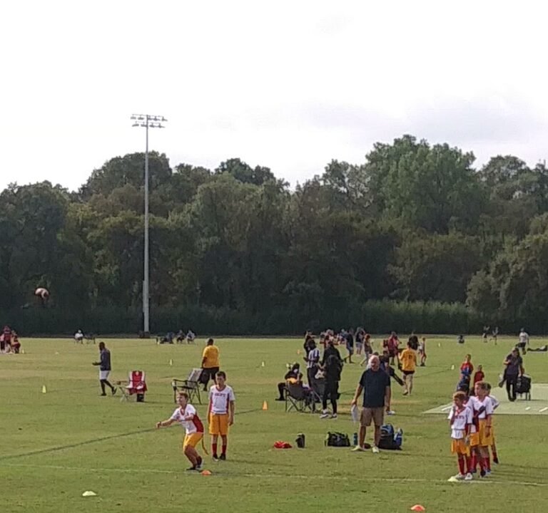 Soccer Field image 3