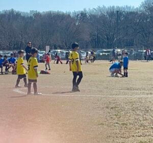 Soccer Field image 3