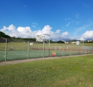 Soccer Field image 3