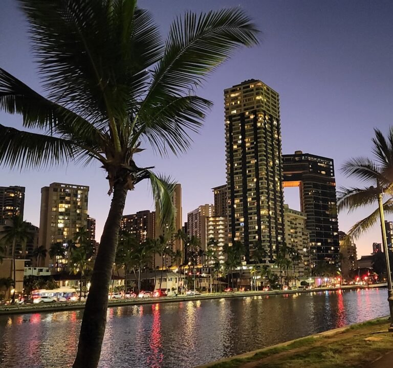 Soccer Field image 2