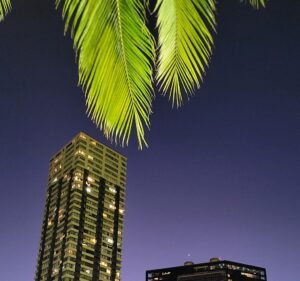 Soccer Field image 3