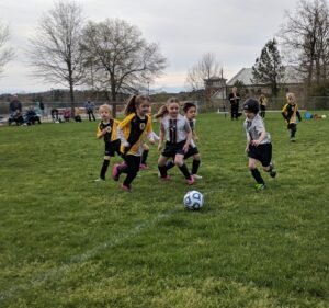Soccer Field image 2