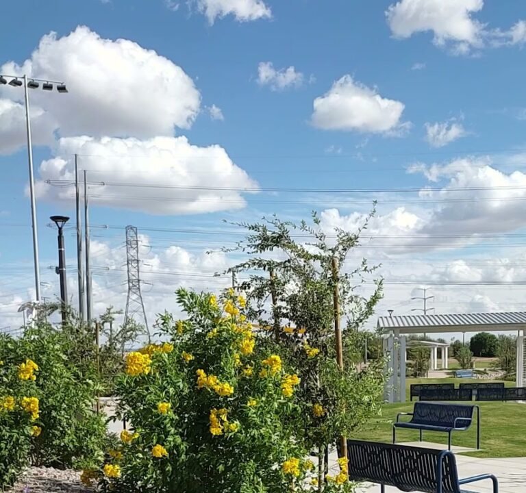 Soccer Field image 4