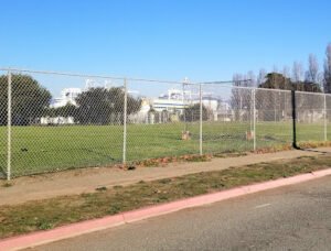 Soccer Field image 1
