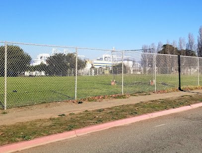 Soccer Field image 1