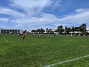 Soccer Field image 1