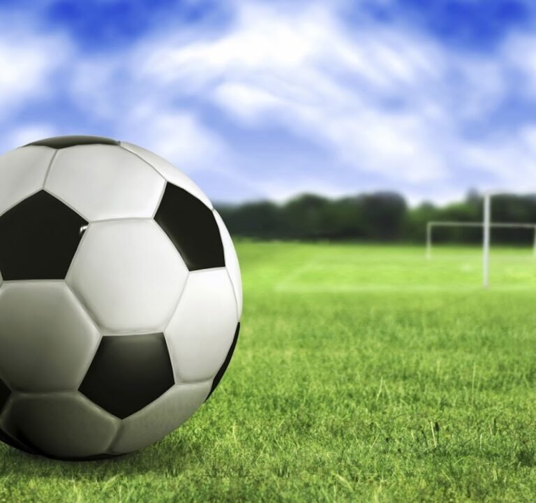 Soccer Field image 2