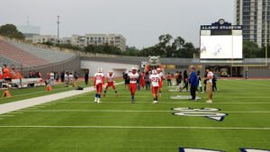 Soccer Field image 1