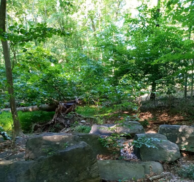 Soccer Field image 2