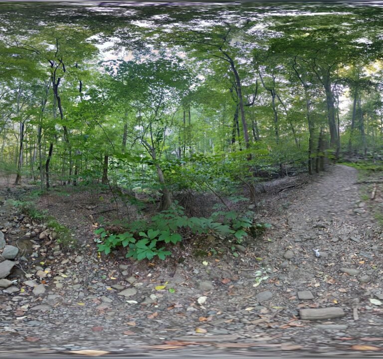 Soccer Field image 3