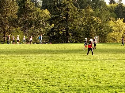 Soccer Field image 1
