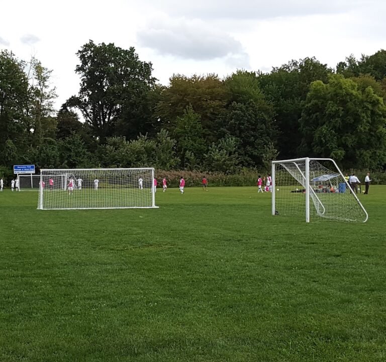 Soccer Field image 2