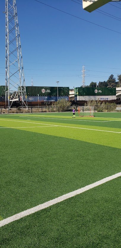 Soccer Field image 1